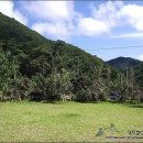 엄둔계곡 가자화이트 이미지