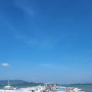 씨스타(seastar) 이미지