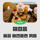 배곧고등학교 | 애견동반 가능한 해걸음 배곧 디저트 카페