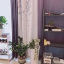 리즈케어 이미지