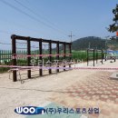 신의초등학교 티스토리