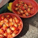 오수정육점 이미지