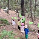 다솜유치원 | 대구 숲체험 경산 성암산우리들유아숲체험원 방문기
