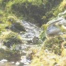 강화역사박물관 이미지