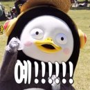 도리원 이미지