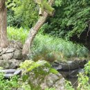 계곡예쁜집 이미지