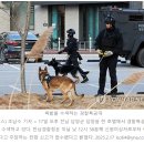 대통령주유소 이미지