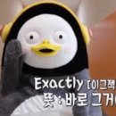 베비우 이미지