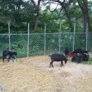 석지농장 이미지