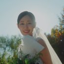 W-5) 가성비 본식 DVD '르랑필름' 계약 후기 : 30만원대 사수하기 (노블발렌티 삼성)