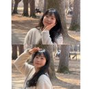 둥굴레펜션 | 대충 사는 법도 생각보다 어렵다