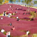 낙동강변13 이미지