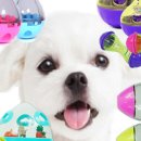 아띠지기 이미지