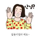 밀아재 네이버블로그