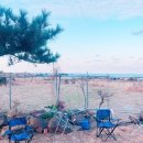 오키서키민박 이미지