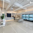 306 퍼피 | 상무지구애견분양 306퍼피 오픈 이벤트 안내 및 오시는 길