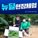 (주)아트팜 이미지