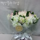 화곡동꽃집 백천플라워샵 가격 위치 영업시간