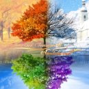 봄여름가을 이미지