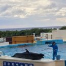 성호마트 | 오키나와 라이딩 후기 2일차^^