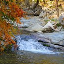 해인사 소리길 이미지