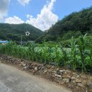 의곡초 일부분교 이미지