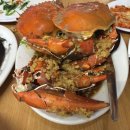 씨싸이드 이미지