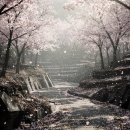 [북부] 의류제작 중급 | 4월 산행지 추천 꽃비 내리는 Best 명소