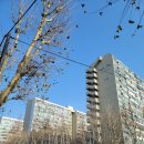 최필선한의원 이미지