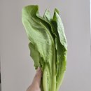 둥구머리협동조합 이미지