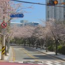 동삼2동-1 이미지