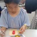 봉숭아어린이공원 이미지