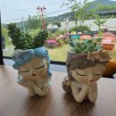 윌로우카페