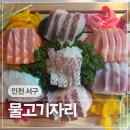 조약돌횟집 | 인천 검단신도시 아라역 횟집 물고기자리 모둠숙성회단품 후기