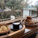 그마그로 이미지