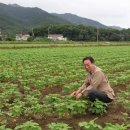 군서농협 이미지