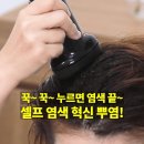 쉽고 빠르게 셀프염색 하는 비법 엠제이뷰티 뿌염, 새치커버, 뿌리염색, 단발머리 염색시 추천