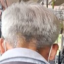 원주굽이길 18코스 반계리은행나무길 이미지