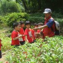 연성어린이집 이미지