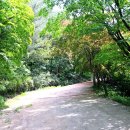 조령산자연휴양림 이미지