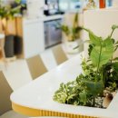 대한안경콘택트 이미지