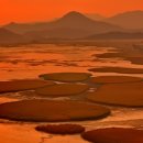 순천만 풍경 이미지