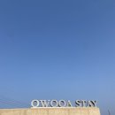 체크인📍포항 오우아스테이, OWOOA STAY [감성 숙소]