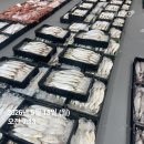 당일경매/ 싱싱한 갑오징어/아귀/준치 판매합니다 건멸치/모듬해초/미역 이미지