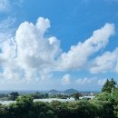 제주 개구리펜션 가족독채펜션 | 제주 가족여행 독채펜션 추천 서귀포클래식 내돈내산후기