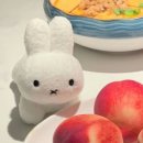 인형뽑아방 이미지