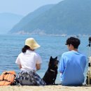 여주-0435 올치올치