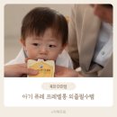 유기농 아기 퓨레 브랜드 프레벨롱 내 돈 내산 구매 후기