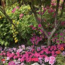 강서큰나무재활의학과의원 이미지