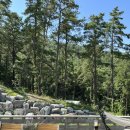 블랙트리 하우스 이미지